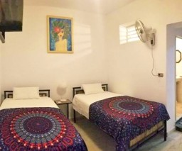 Beautiful twin room for tourists in Havana